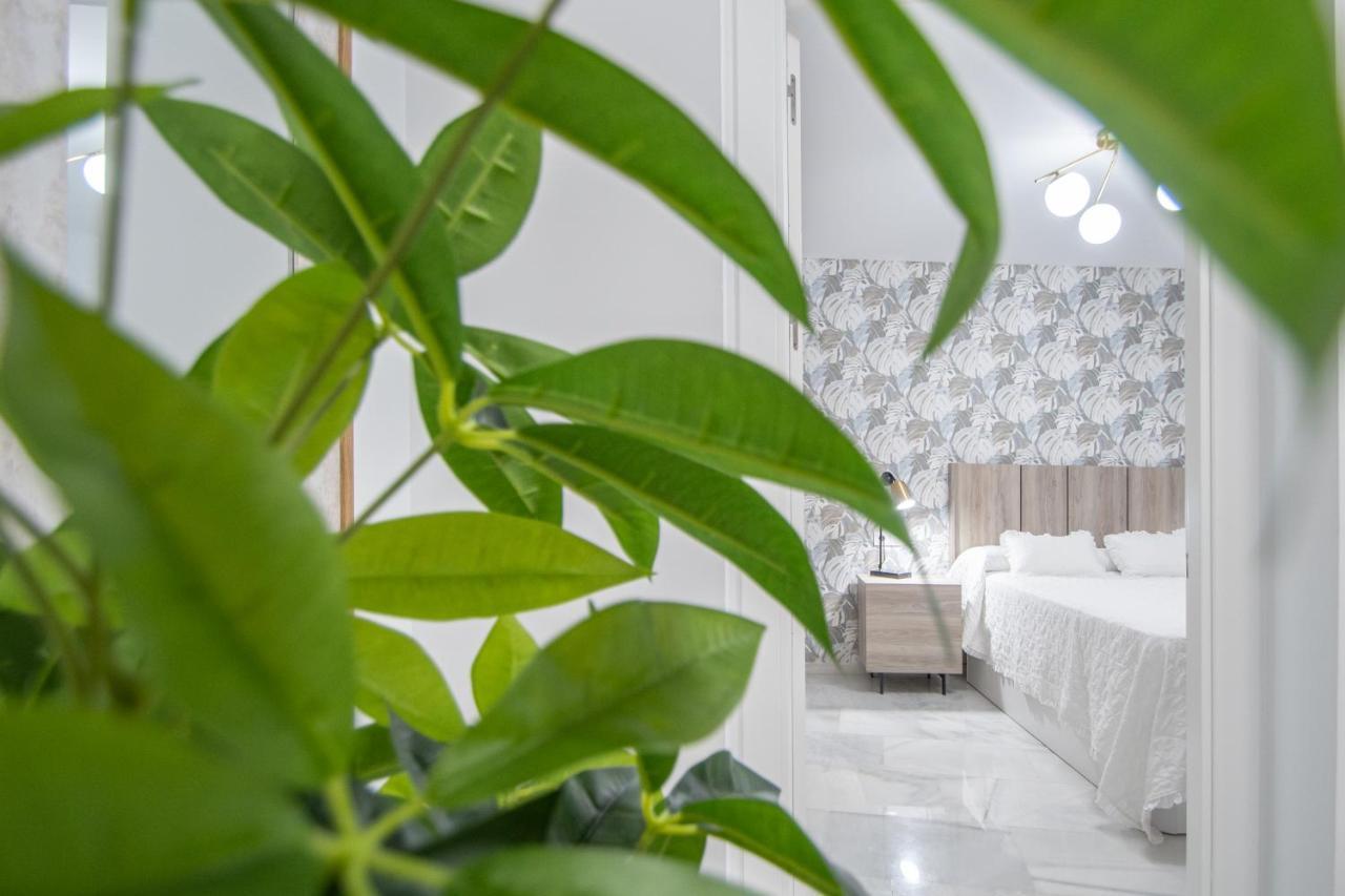Apartamento La Magnolia de Cádiz Exterior foto
